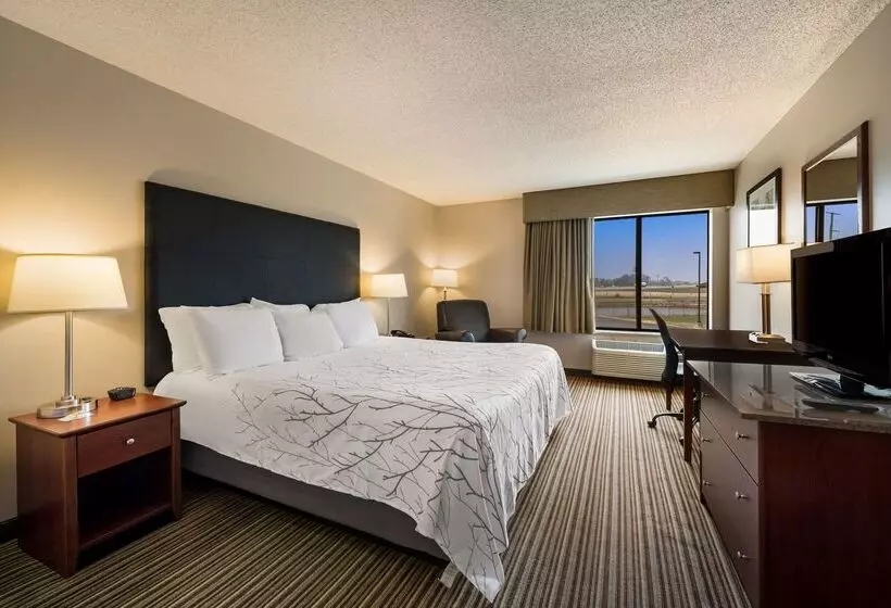 호텔 Best Western Park Oasis Inn