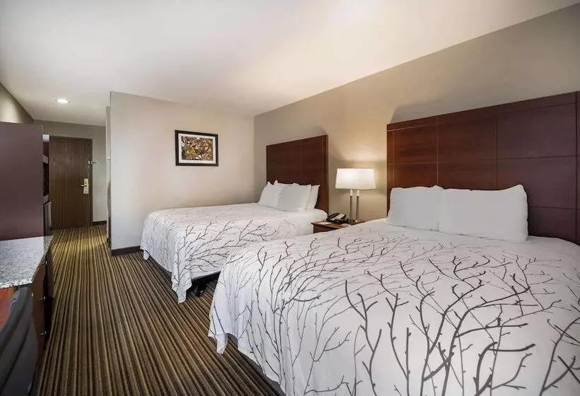 호텔 Best Western Park Oasis Inn