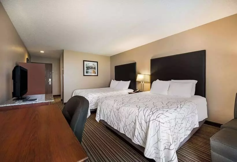 호텔 Best Western Park Oasis Inn