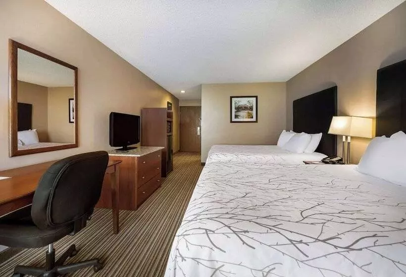 호텔 Best Western Park Oasis Inn