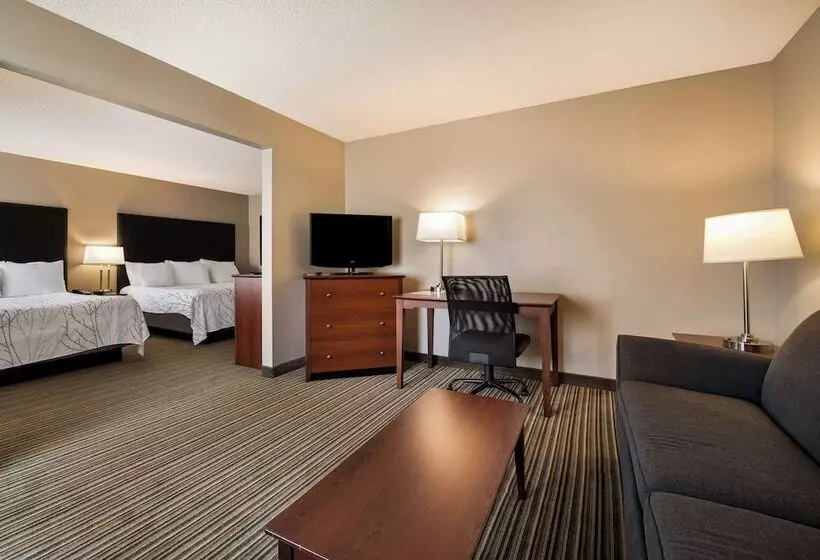 호텔 Best Western Park Oasis Inn