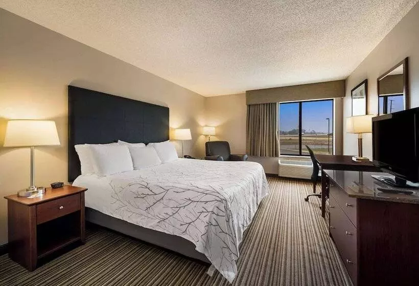 호텔 Best Western Park Oasis Inn