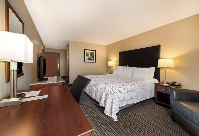 호텔 Best Western Park Oasis Inn