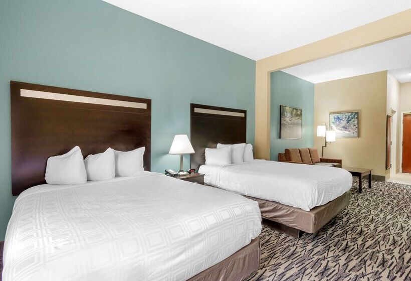 בית מלון כפרי Best Western Plus Mcdonough Inn & Suites