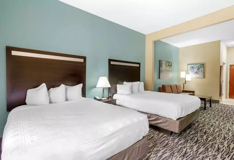 Отель Best Western Plus Mcdonough Inn & Suites