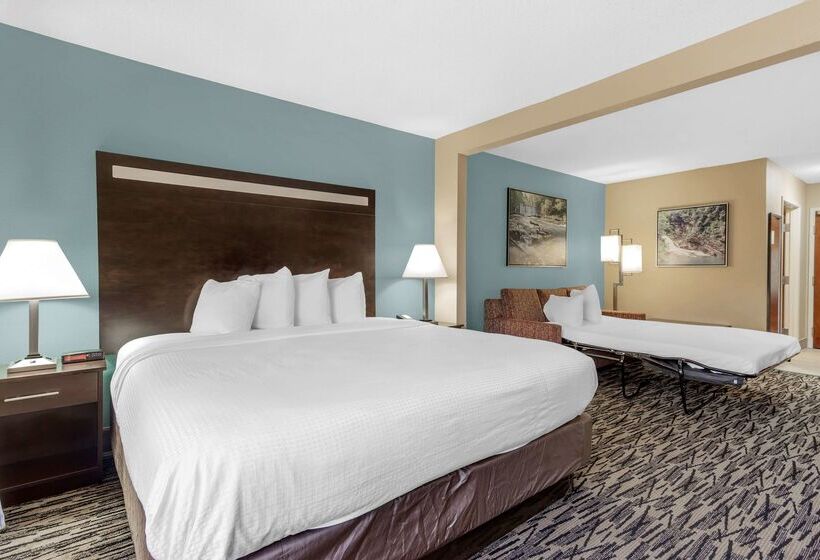 בית מלון כפרי Best Western Plus Mcdonough Inn & Suites