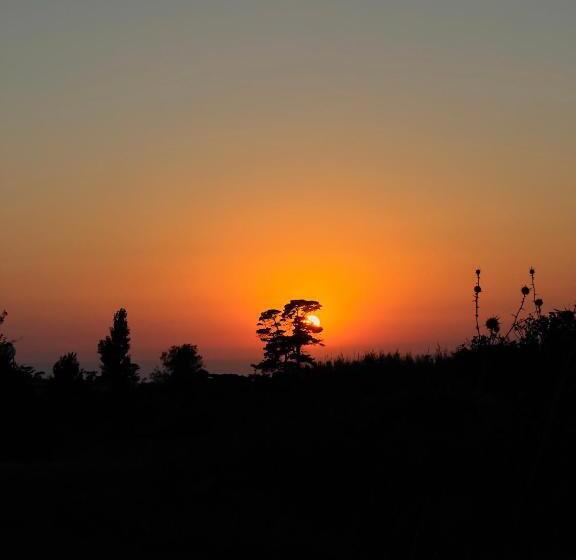 פנסיון Revaklı Ev Guest House