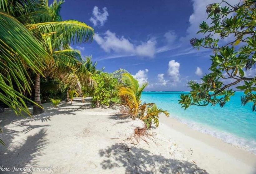 پانسیون Thoddoo Beach View Maldives