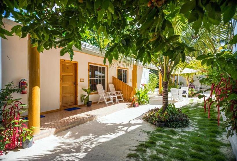 پانسیون Thoddoo Beach View Maldives