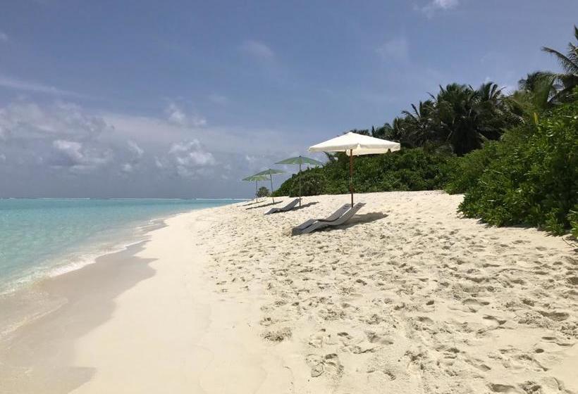 پانسیون Thoddoo Beach View Maldives