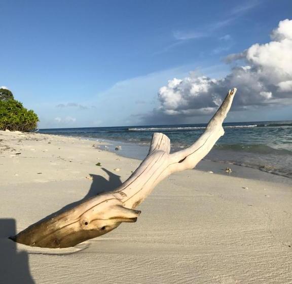 پانسیون Thoddoo Beach View Maldives
