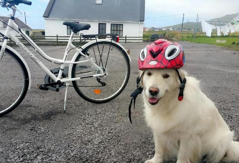 Teach Cruachan Bed And Breakfast