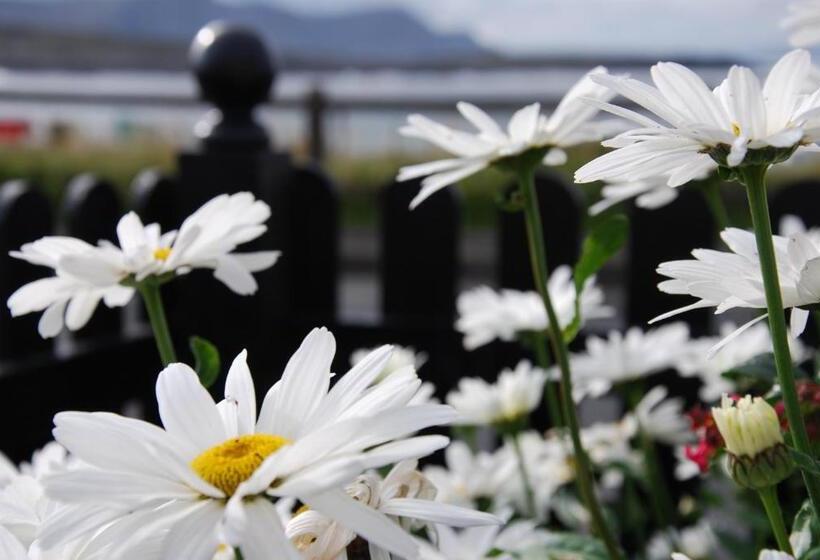 Teach Cruachan Bed And Breakfast