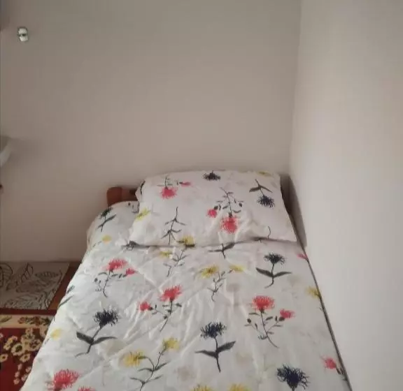 پانسیون Gostišče Oddih