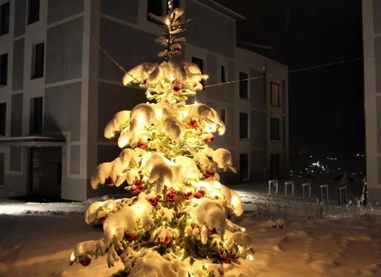 Emma S B&b   Self Check In