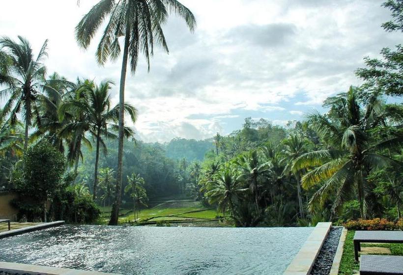 مبيت وإفطار The Papas Villas