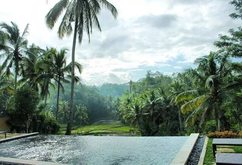 Aamiaismajoitus (B&B) The Papas Villas