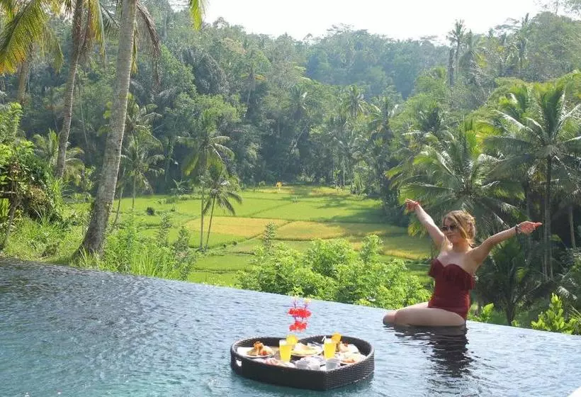 Aamiaismajoitus (B&B) The Papas Villas