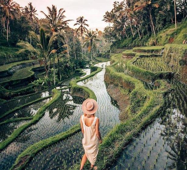 مبيت وإفطار The Papas Villas