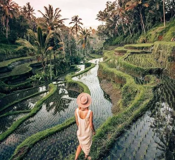 Aamiaismajoitus (B&B) The Papas Villas