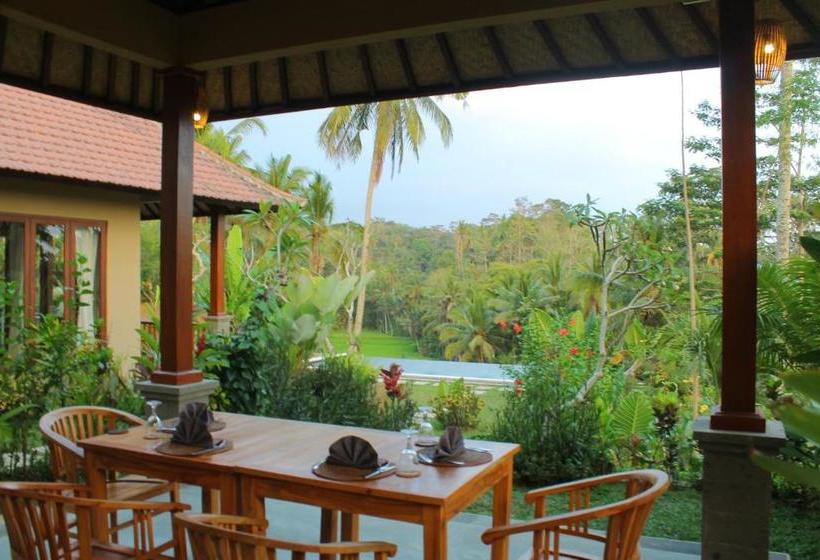 مبيت وإفطار The Papas Villas