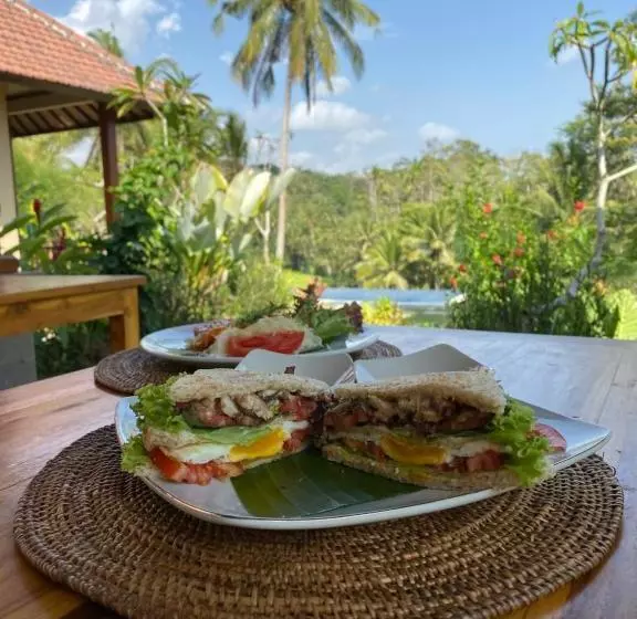 Aamiaismajoitus (B&B) The Papas Villas