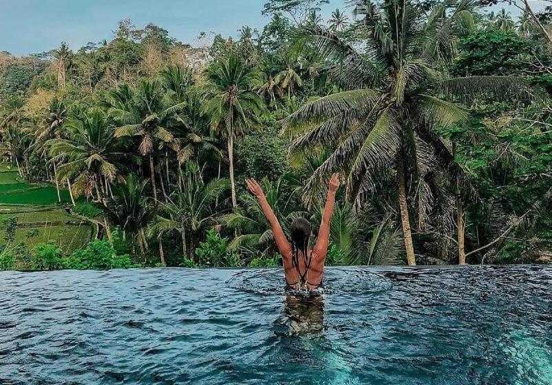 مبيت وإفطار The Papas Villas