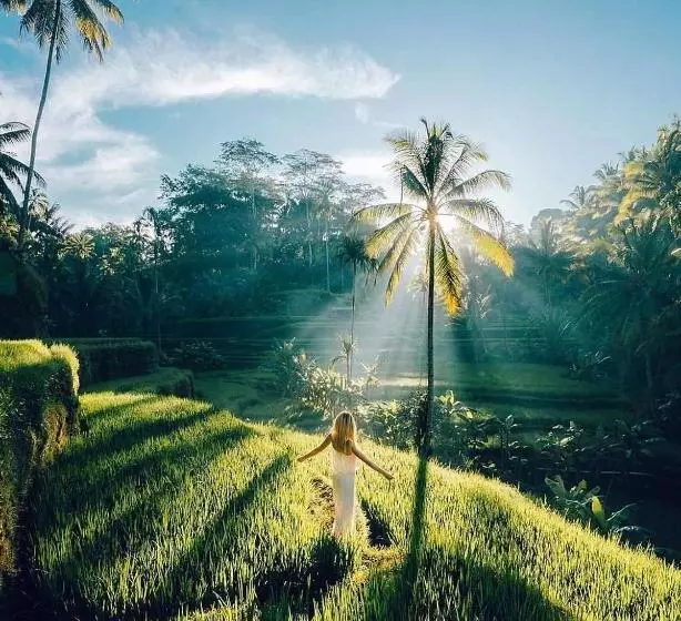 Aamiaismajoitus (B&B) The Papas Villas