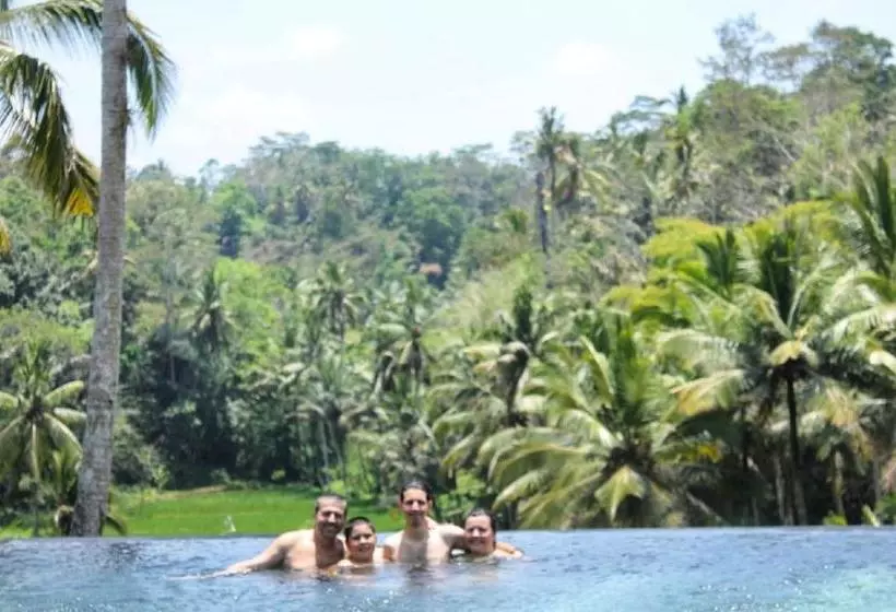 Aamiaismajoitus (B&B) The Papas Villas