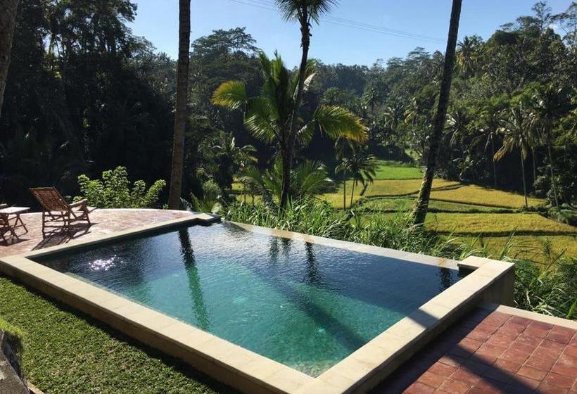 مبيت وإفطار The Papas Villas