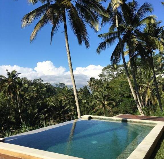 مبيت وإفطار The Papas Villas