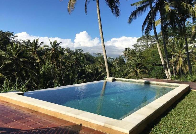 مبيت وإفطار The Papas Villas