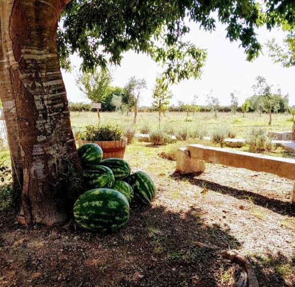 호텔 Masseria Cataldo