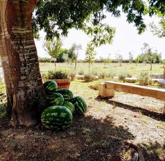 ホテル Masseria Cataldo