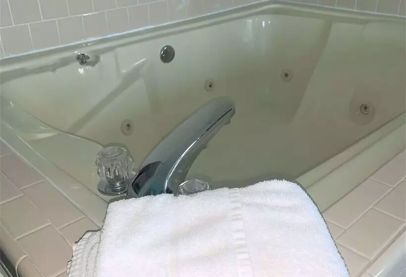 Отель Best Western River City