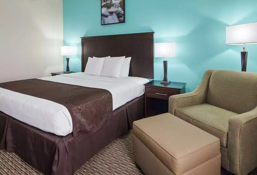 Отель Best Western River City