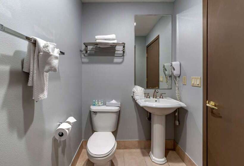 ホテル Quality Inn