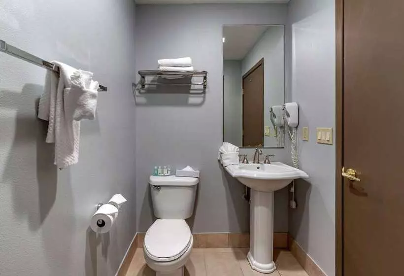 فندق Quality Inn