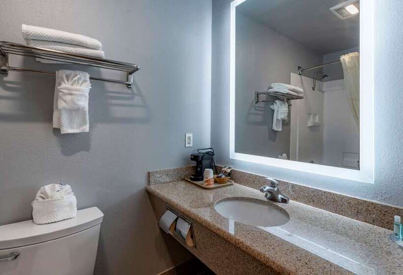 ホテル Quality Inn