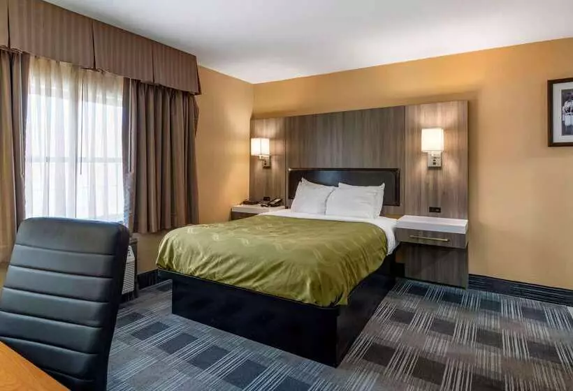 فندق Quality Inn