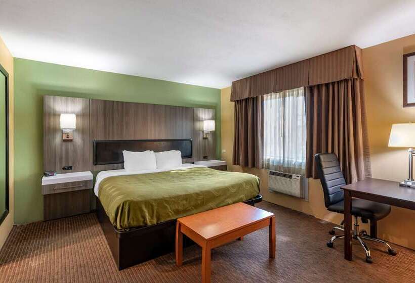 ホテル Quality Inn