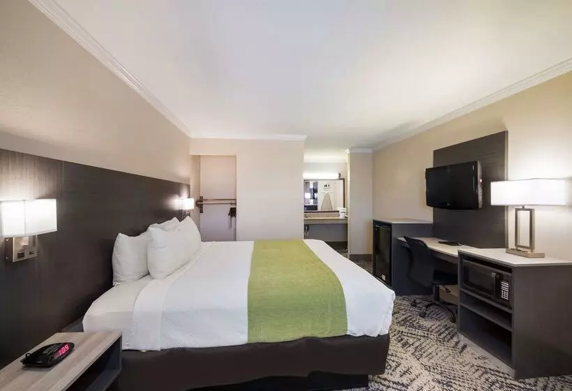 Surestay Hotel By Best Western Rockdale