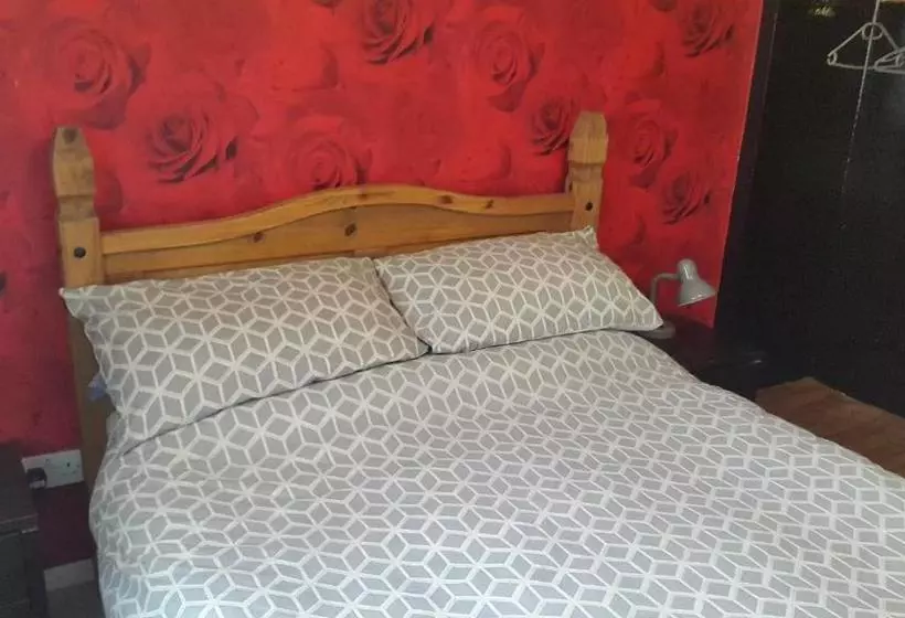 تختخواب و صبحانه The Monk & Tipster