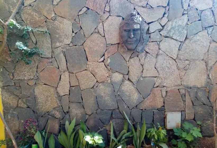 تختخواب و صبحانه O Jardim Do Vinho