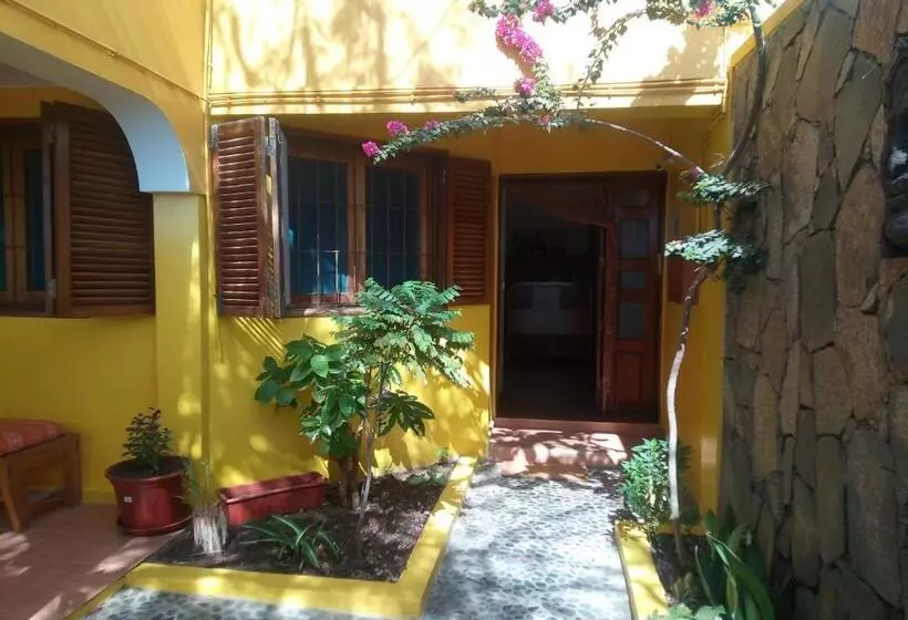 تختخواب و صبحانه O Jardim Do Vinho
