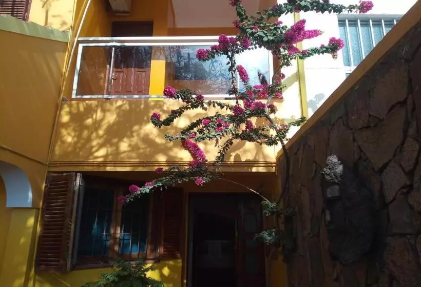 تختخواب و صبحانه O Jardim Do Vinho