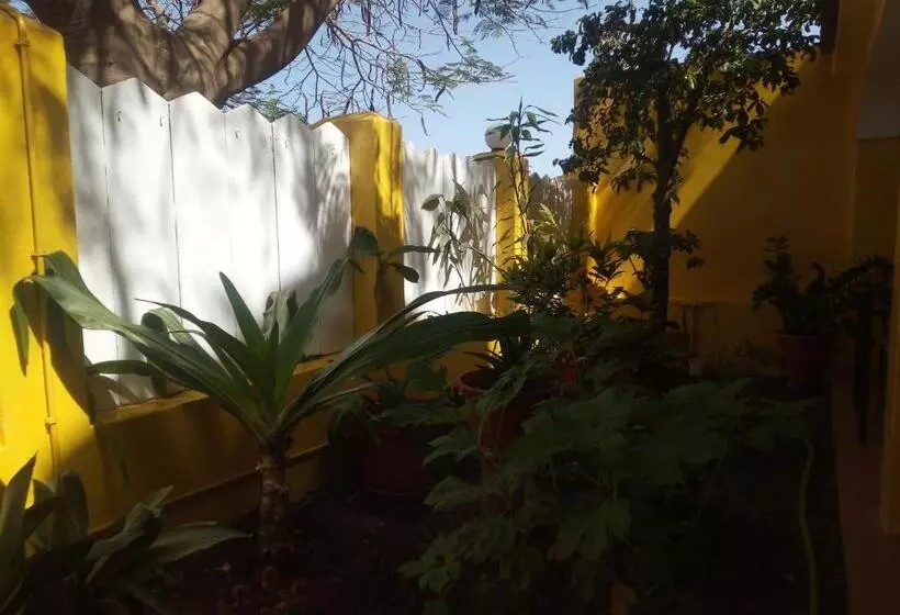 تختخواب و صبحانه O Jardim Do Vinho