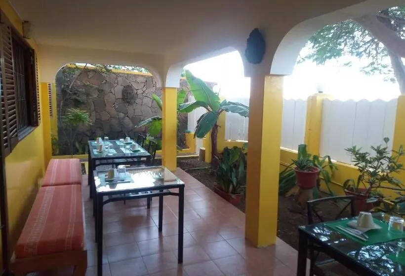 تختخواب و صبحانه O Jardim Do Vinho