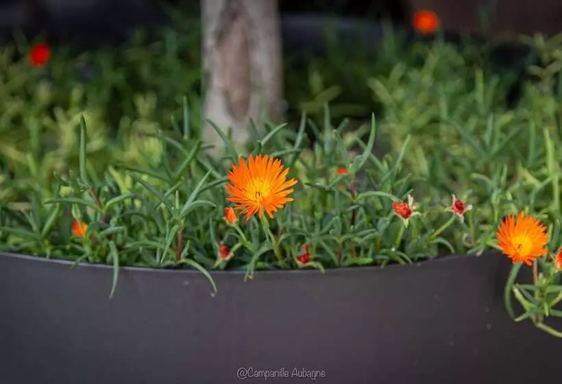 Hotelli Campanile Marseille Est  Aubagne