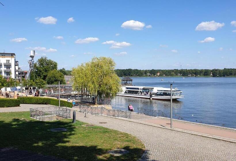 Travel Art Boardinghouse